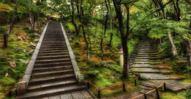 10 SEO Blog Post Publishing Steps that Most Bloggers Forget