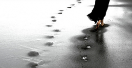 Bloggers See and Follow Bloggers See and Follow