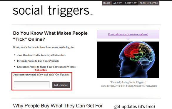 Blog Homepage Social Triggers