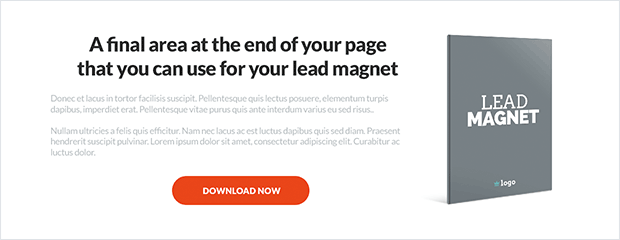 website-bottom-lead-magnet